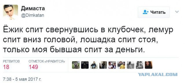 Очередная порция перлов из сети