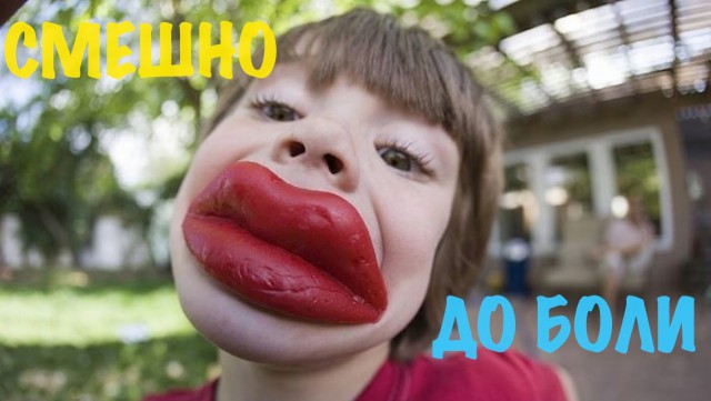 Итоги проверки пользователей