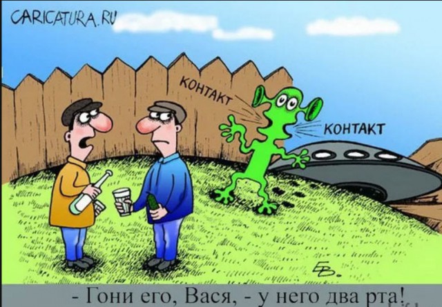 Они здесь
