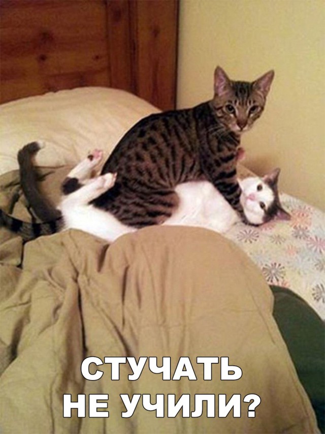 Немного милоты