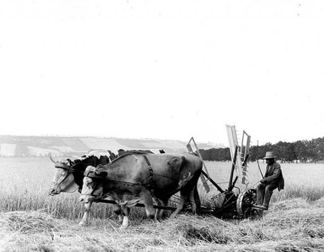 Уникальные фото, Европа в 1904 году