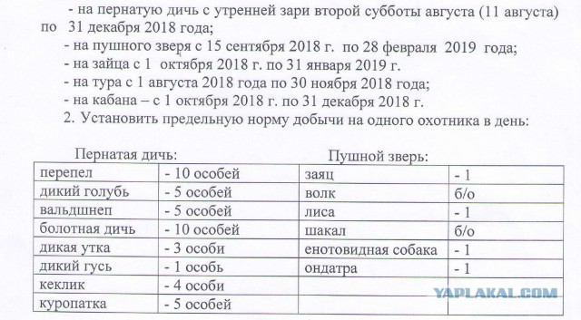 Волки наглеют! Что делать?
