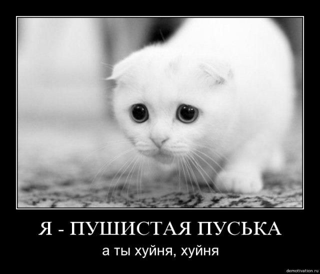Ты! Да, ты... Ты ему не нравишься!
