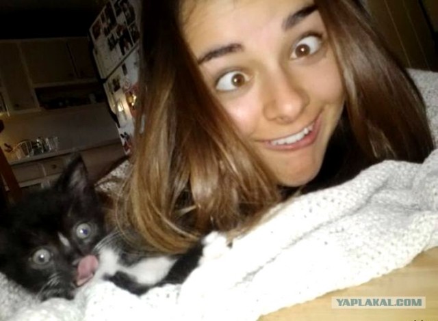 Яблоко от яблони....