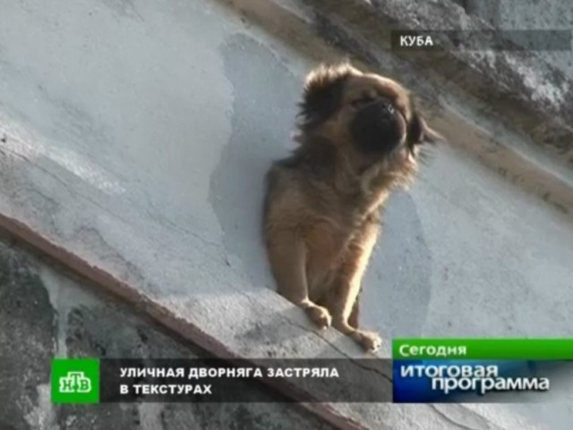 Новость дня.