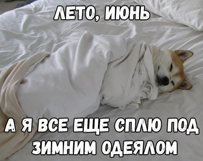 Картинки с надписями, истории и анекдоты