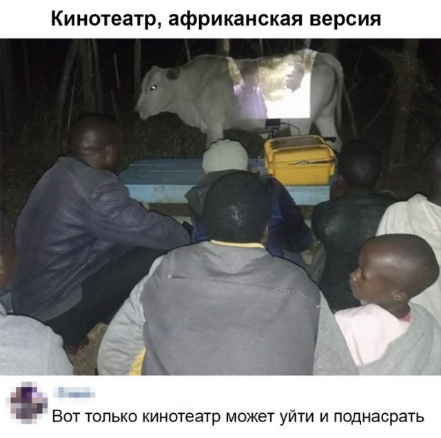 Немного картинок в этот понедельник