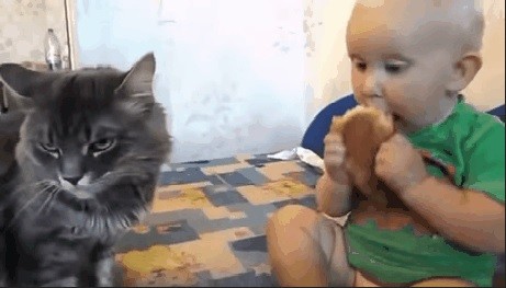 GIF'ок немного