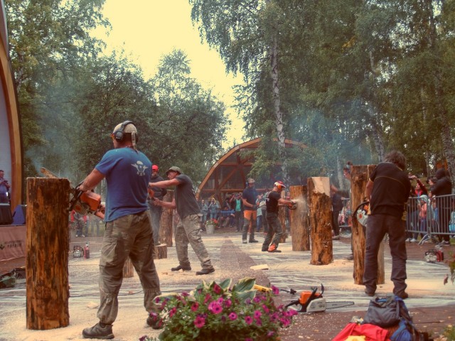Божья коровка