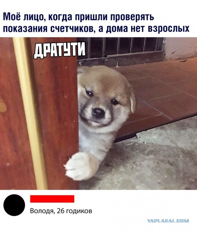 Немного картинок для настроения 24.01.20