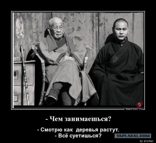 Замкнутый мир. Что произошло в запертой бутылке, куда 12 лет назад поместили несколько жуков