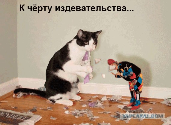 кот Матроскин и счёт за интернет