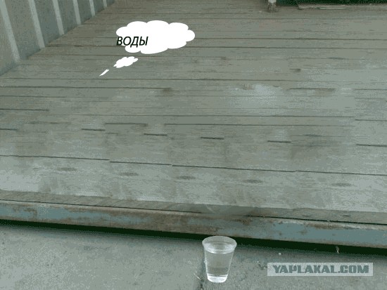 Фотожаба: Лето. Коту жарко