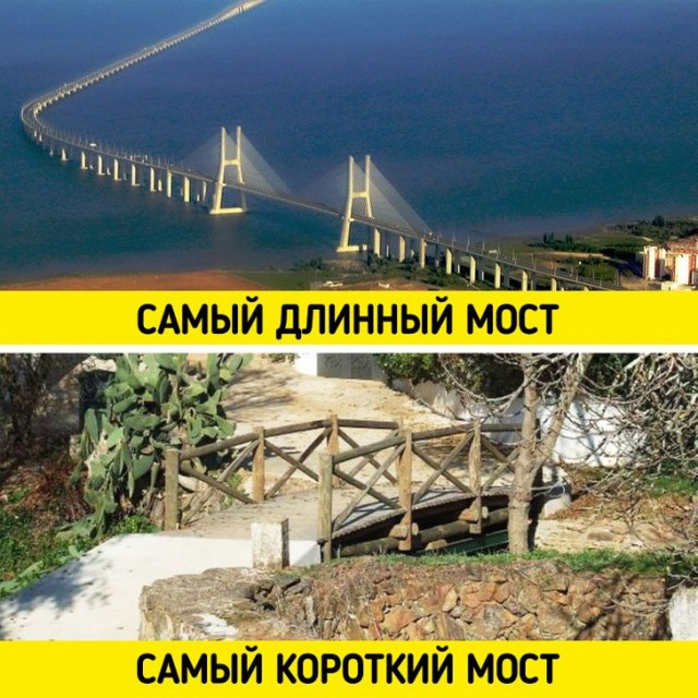 Яркие особенности жизни в Португалии