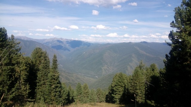 На конягах по Алтаю