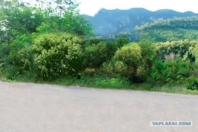 Фотожаба: любопытный парень