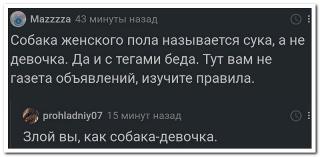 Забавные комментарии из социальных сетей 08.02.21