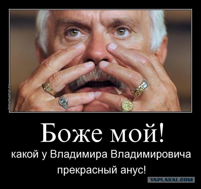Михалков предложил лишать гражданства за призывы к санкциям против России