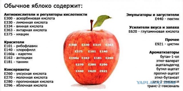 Различные  руководства и инфографики.