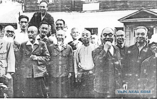 Кровавая битва за Пелелиу: новая оборонительная тактика японцев