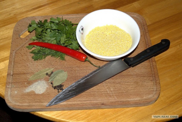 Все из рыбы!