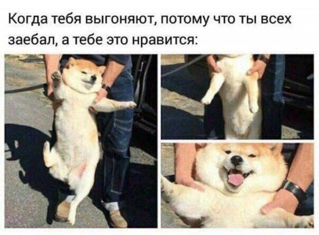Картинки и мемы для настроения 18.08.2021