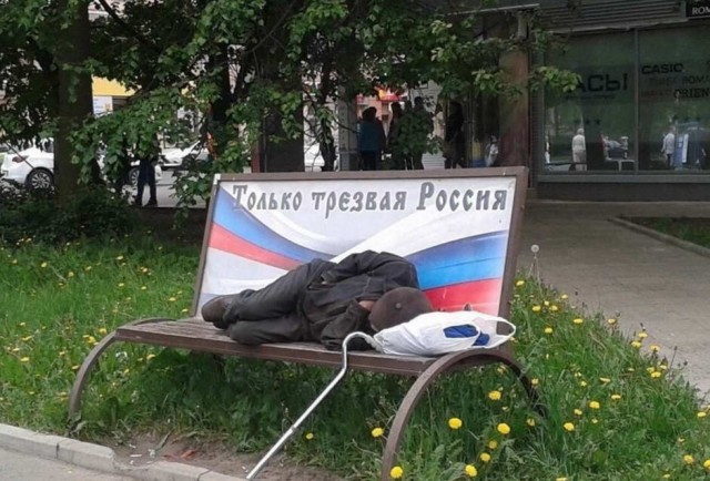 Скотсети и прочие интернеты 10.09.2021