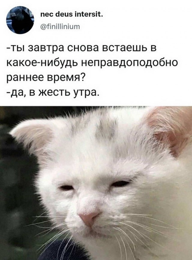 Картинки и мемы для настроения 29.09.2021