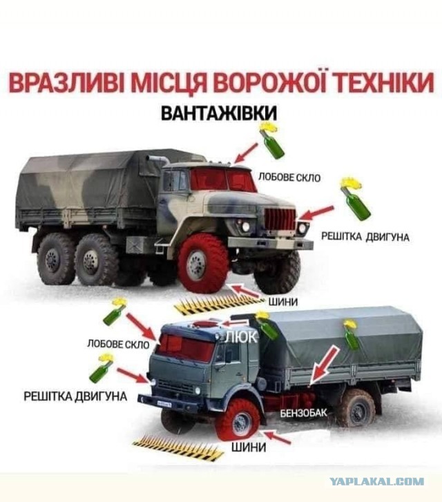 Путин и Макрон провели телефонный разговор
