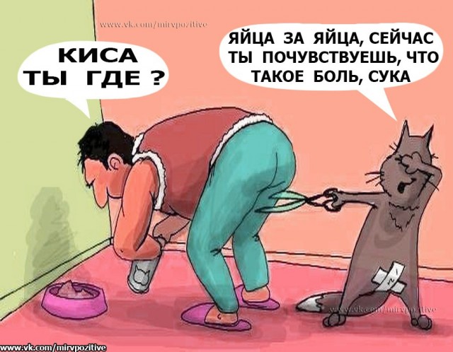 "Резал рыбу на кухне"
