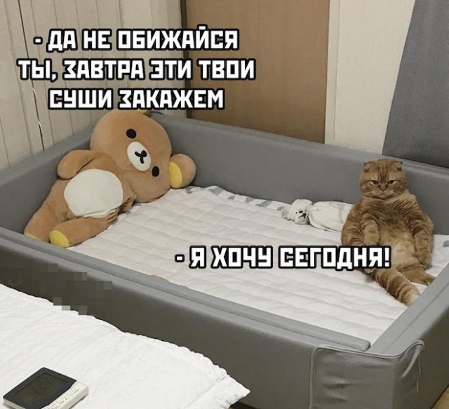 Картинки и мемы для настроения - 27