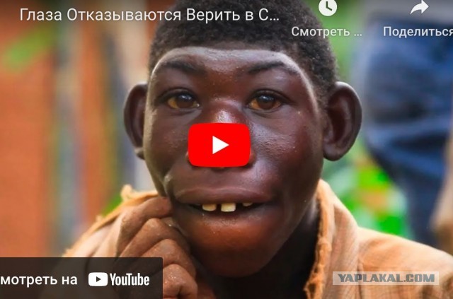 Теория эволюции Дарвина верна? Происхождение человека