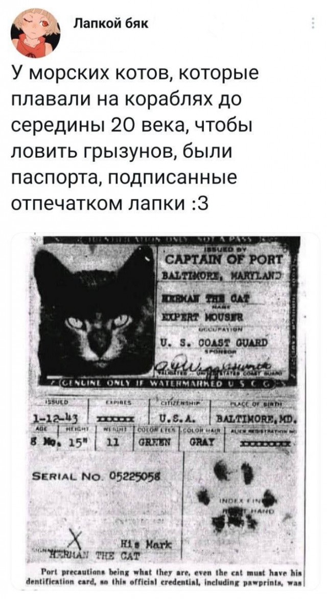 Картинки на пятницу