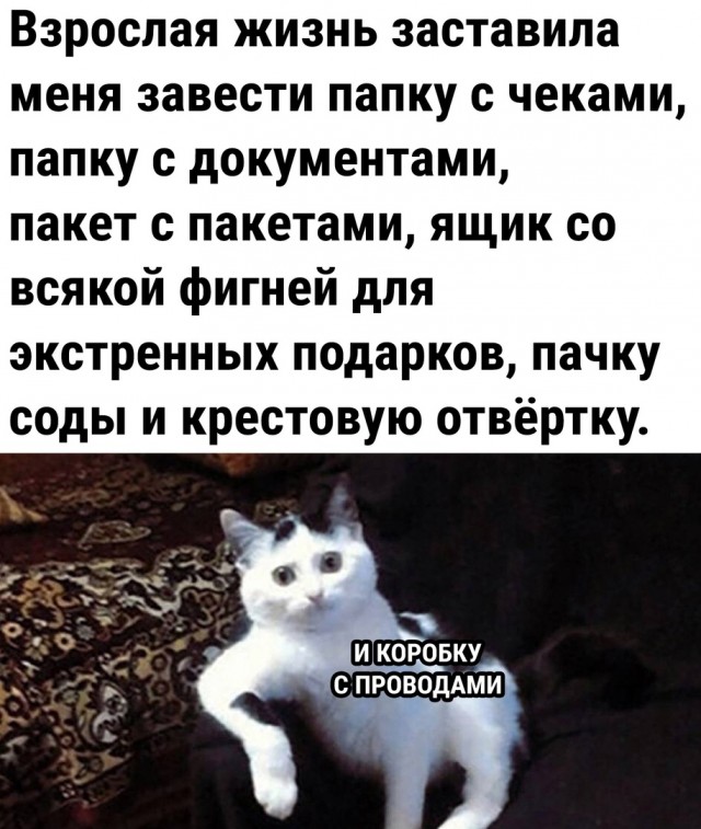 Так себе картинки 22.06.23