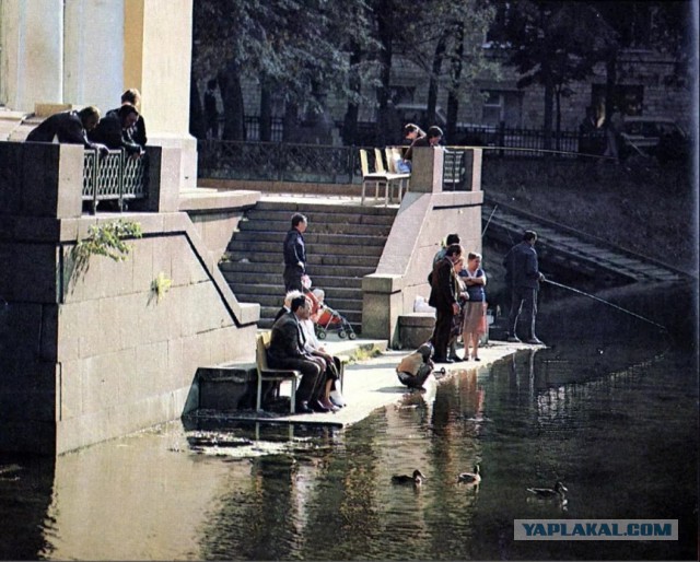 Наглые рыбаки раздражают москвичей на "Патриках"