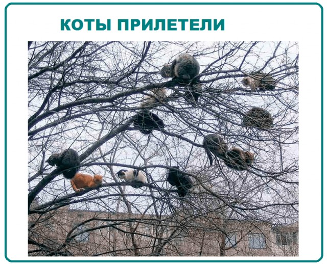 Странный птенец