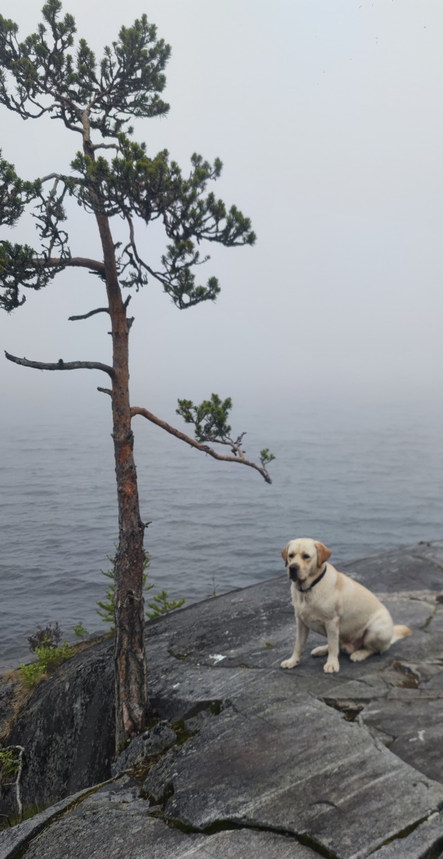 Собакочетверг