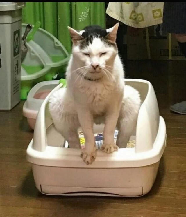 Школа джедаев. Начало