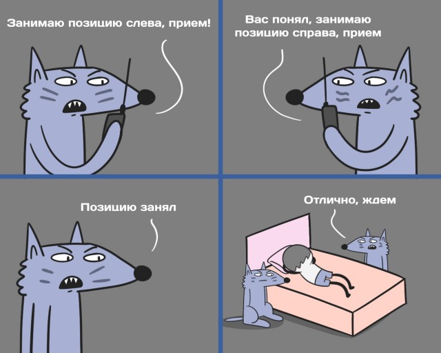 Самую одинокую овцу в Шотландии спасли.