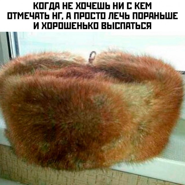 Весёлый полтишок 24.12.23