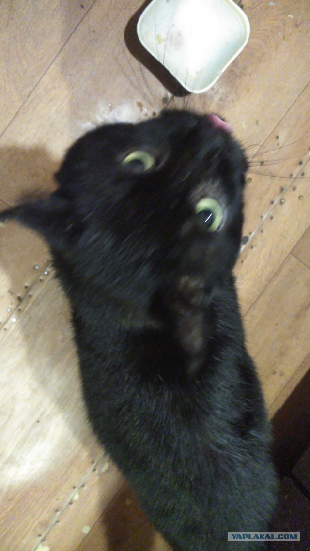 Сборник рассказов ЯПовских авторов. Обсуждение проблемы.