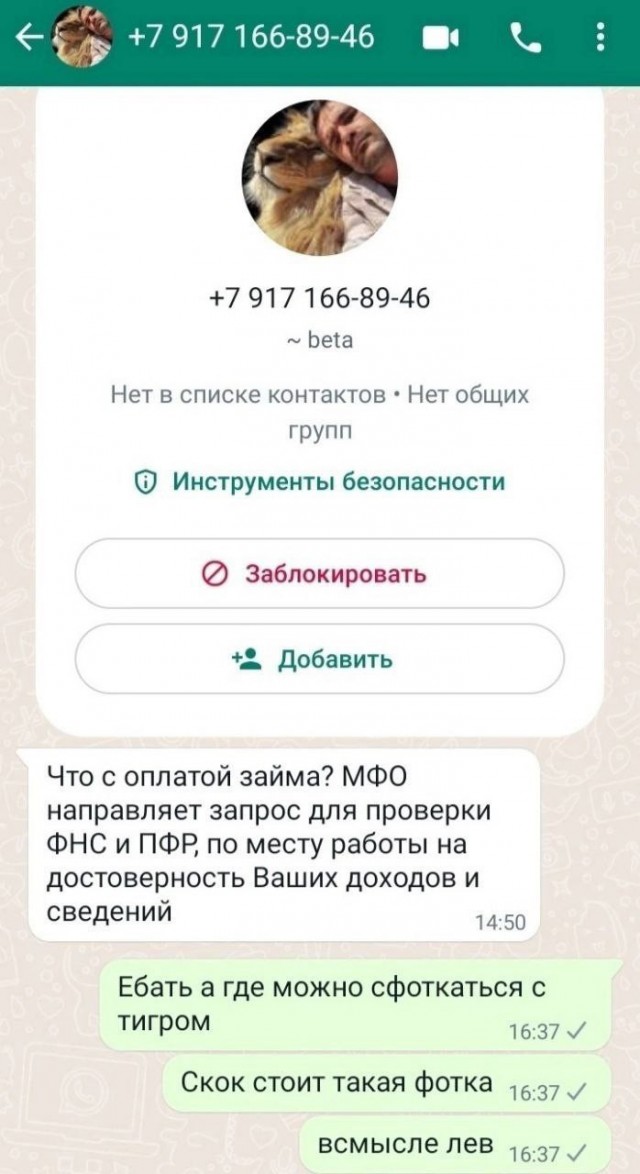 Всего понемногу. От 12.05.2024