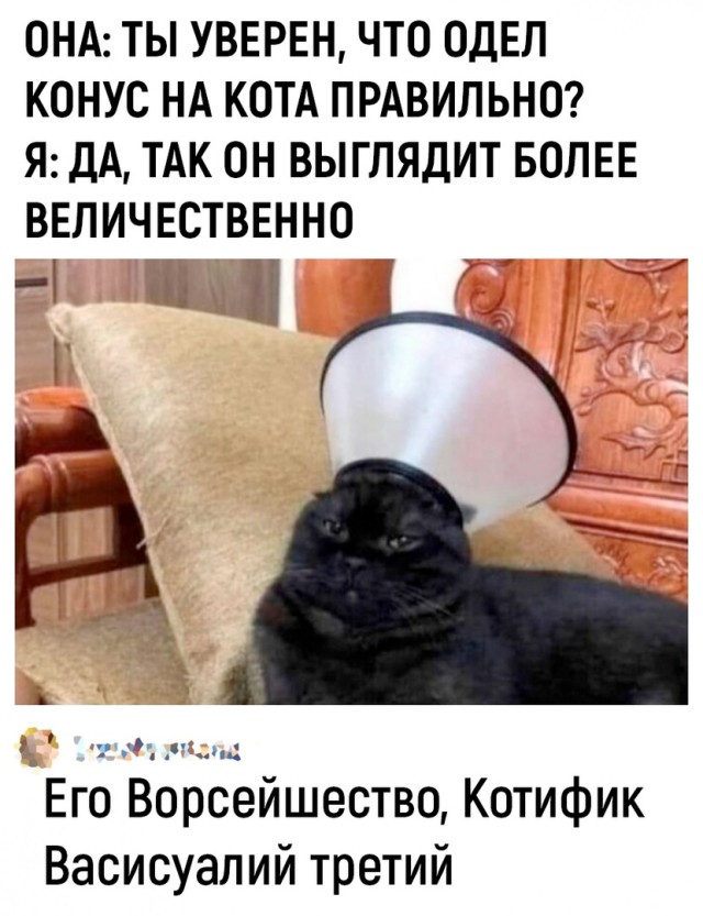 Так себе картинки 10.07.24