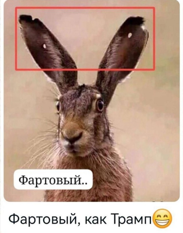 Во Львове подстрелили националистку Ирину Фарион