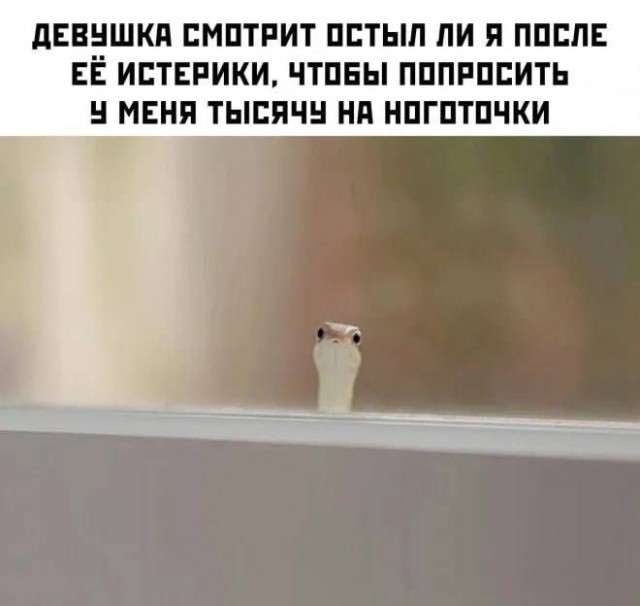 Всего понемногу. От 22.01.2025