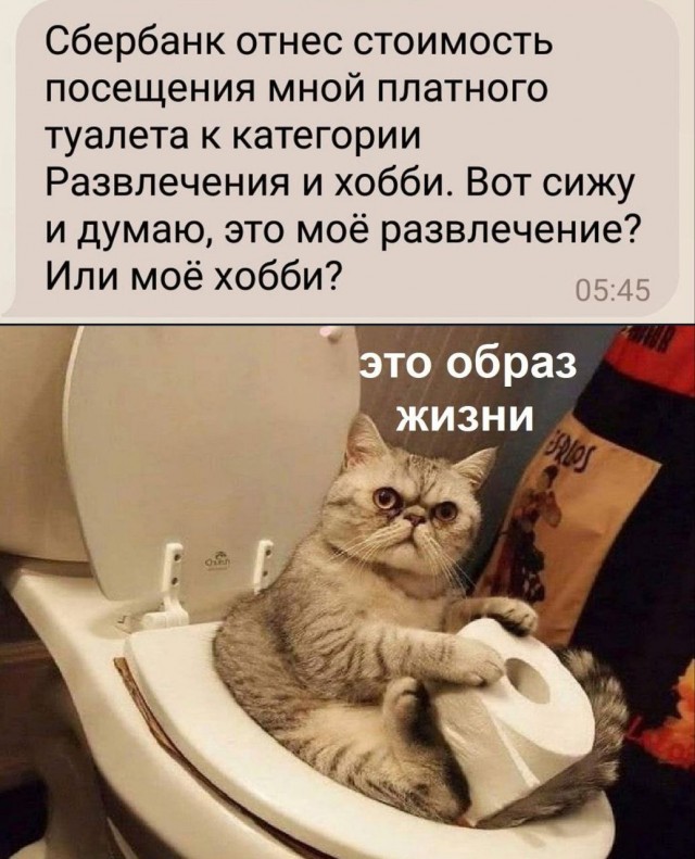 Картинки выходного дня