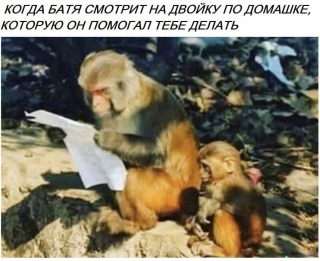 Мужик показал результаты ребенка с олимпиады по окружающему миру. Ответы убили