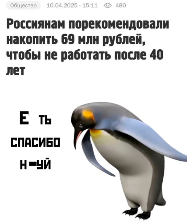 Весёлый полтишок 24.04.25