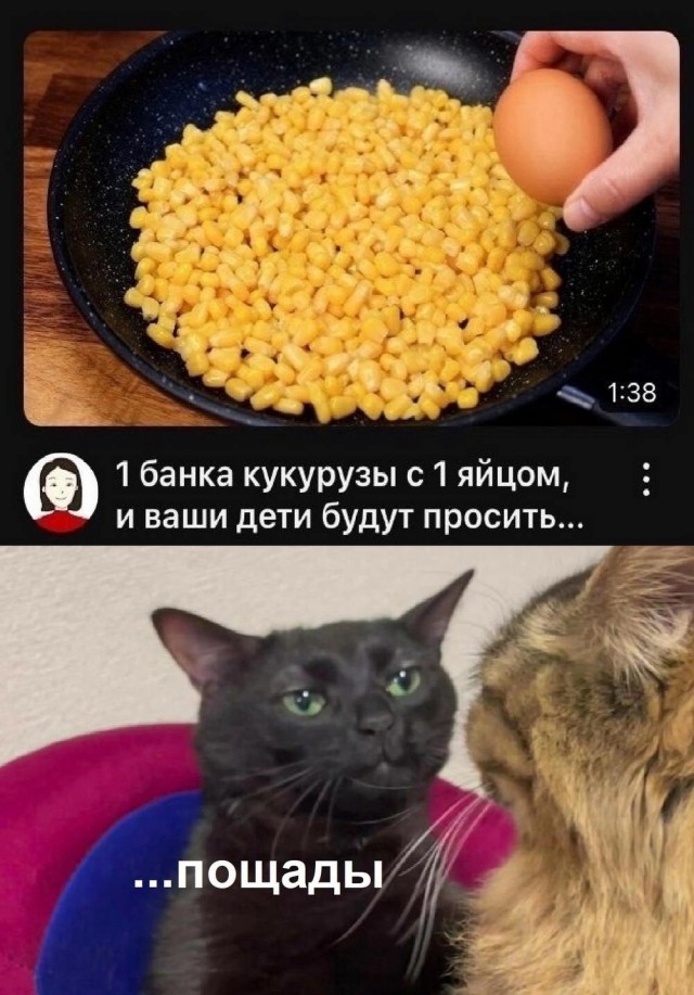 Нуштош 06.05.2025. Старая реальность (s3e12)