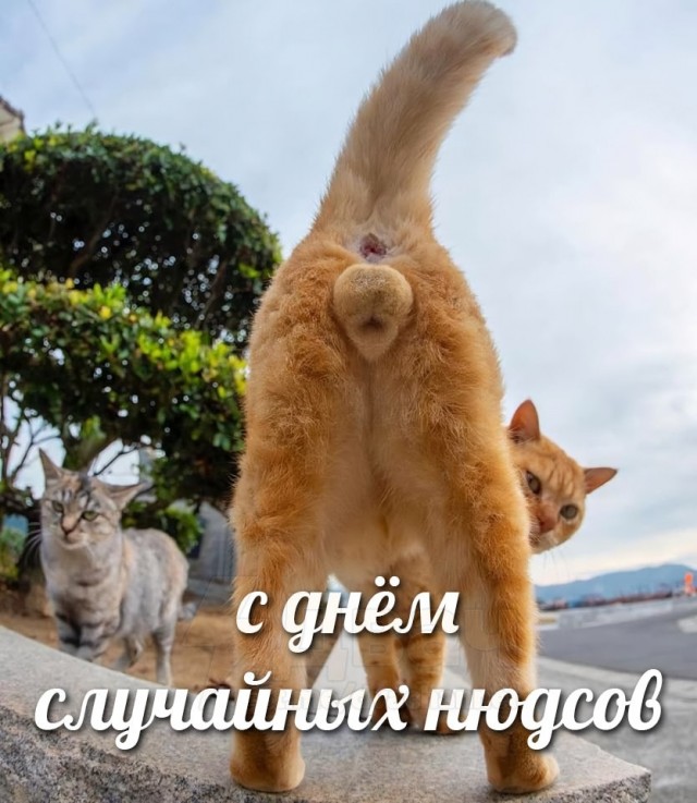 Сегодня отмечается Международный день обмена нюдсами по ошибке